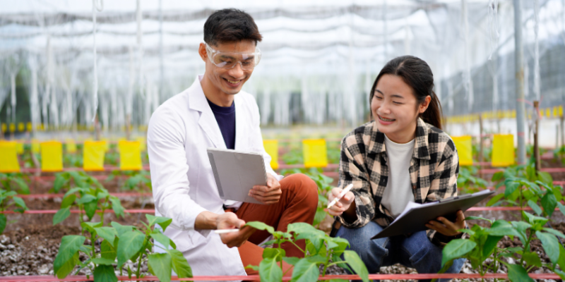 João Eustáquio De Almeida Junior explica por que a análise de solo é um diagnóstico essencial para melhorar o planejamento e a produtividade na agricultura.