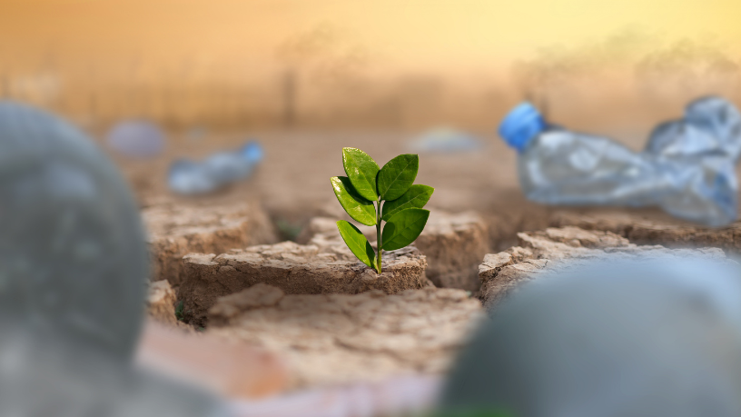 Neste texto, Gustavo Morceli aborda o uso de dados ambientais como base para uma educação climática que orienta decisões e práticas escolares.