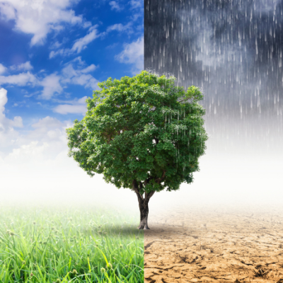 Gustavo Morceli discute como a educação climática baseada em dados permite que a escola interprete o ambiente e reorganize suas práticas pedagógicas.