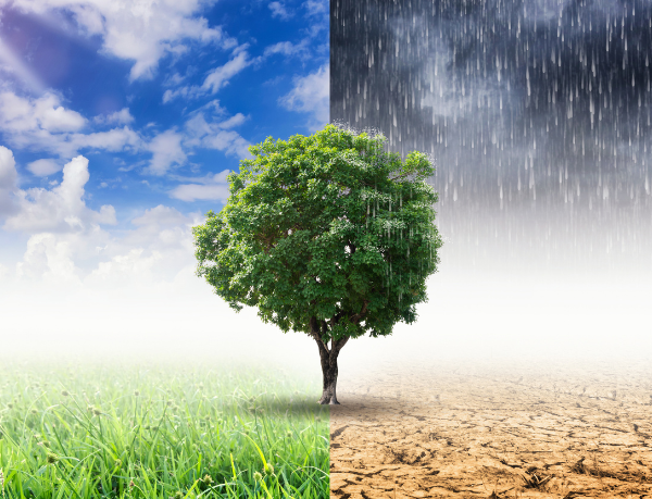 Gustavo Morceli discute como a educação climática baseada em dados permite que a escola interprete o ambiente e reorganize suas práticas pedagógicas.