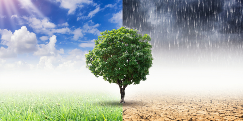 Gustavo Morceli discute como a educação climática baseada em dados permite que a escola interprete o ambiente e reorganize suas práticas pedagógicas.