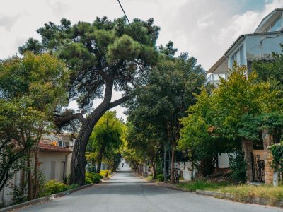 Rua urbana arborizada, ladeada por edifícios residenciais e árvores.